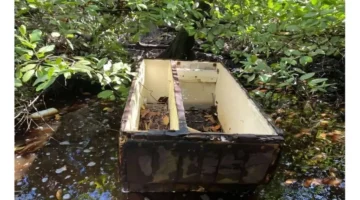 أزمة بيئية.. أشجار المانغروف الكولومبية تتحول إلى مقابر بلاستيكية تهدد الحياة البحرية